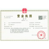 辽宁卓成高新科技信息咨询有限公司营业执照